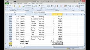 Multiple Level Sub Total In Excel Youtube