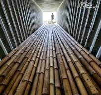 Guadua Bamboo Poles for Sale from Colombia — The Best Bamboo ...