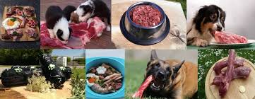 10,000g x 0.03 = 300g of food. Everything About Raw Dogsfirstireland Raw Dog Food