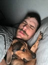 Australia Shepherd or Dachshund Mix?