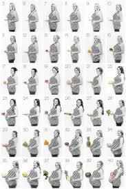 pin on pregnancy pictures