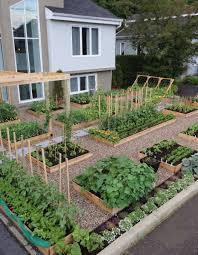 Front Yard Vegetable Garden Vegetable Garden Design Garden Layout Backyard
