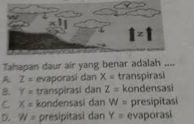 Susunan dari kimia air (h2o) yakni dengan cara alami di. Tahapan Daur Air Yang Benar Adalah Brainly Co Id