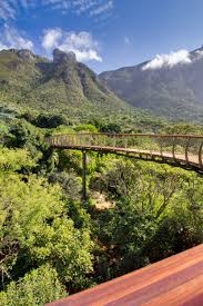 Loop Over De Boomslang Brug Bij De Kirstenbosch National Gardens In Kaapstad En Verbaas Je Over Al Het Mooie Groen Africa Travel South Afrika Cape Town