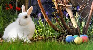 Easter is the most important festival in the christian calendar. Easter It S Meaning History Holiday Symbols Explained