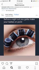 Each compartment has specialized functions (ex. Pin By Amanda Griswold On Lash Me Lashes Eyelash Extentions Lash Quotes