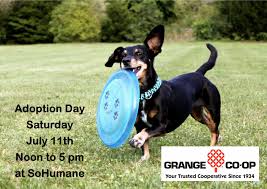 Maybe you would like to learn more about one of these? Sohumane Grange Co Op A Sohumane Business Partner Is Hosting A Special Adoption Day On Saturday July 11th At The Southern Oregon Humane Society 2910 Table Rock Road Medford Oregon Dogs And