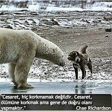 Kisiselgelisim Farkindalik Cekimyasasi Bilincalti Guzelsozler Sozler Yasam Cekim Yasasi Kisisel Gelisim Edebiyat