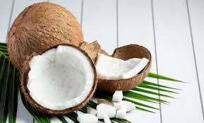 2023 Global Coconut Market Update - Sri Lanka Exports