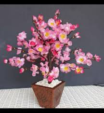 Gambar terkait dengan gambar rumah bunga sakura. Jual Bunga Sakura Hiasan Terbaru Lazada Co Id