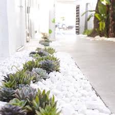 41 Elegant And Minimalist Garden Design Ideas Rock Garden Design Succulent Landscape Design Rock Garden Landscaping