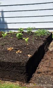Leave a pile of leafy kitchen compost such as lettuce leaves in a damp and shady corner to attract large numbers of slugs. Rebuilding A Bed Garden Raised Beds Frugal Family Home