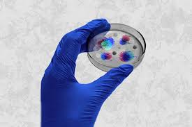 Los científicos están tratando de aprender más sobre nuevas cepas que son más contagiosas. Esto Es Lo Que Sabemos Y Lo Que No De La Nueva Cepa Del Coronavirus