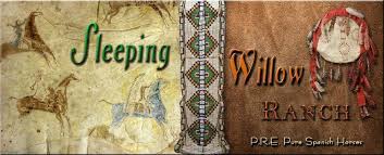 Fresona ROY, Champion PRE Andalusian Mare