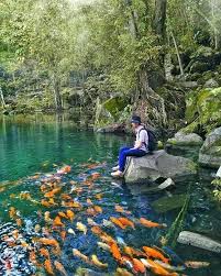 Four Seasons Resort Sayan In Ubud Bali Taken By Mgtenazas Unforgettablehotels Unforgettableholidays Coolhotels B Beautiful Hotels Instagram Luxury Vacation