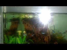 Aquascape 45 mil epdm liner is the ideal membrane for retaining water in ponds, pondless® waterfalls, and other water features. Howto Style Aquatic Videos