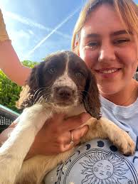 Is your springer hungry at 5 months old?