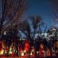 Family Lantern Walk - a celebration of nature event image