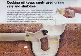 Floor Drains That Are Seldom Used Can Be Notoriously Stinky Here Is A Tip For Controlling Drain Odors Roto R Shower Drain Bathroom Smells Bathroom Sink Drain