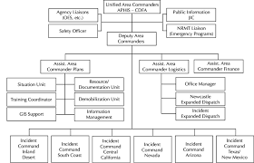 Organizational Structure Of Task Force Download Scientific