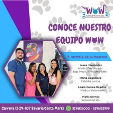 veterinaria wow