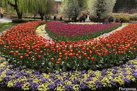 We did not find results for: Annual Vs Perennial Differences Examples And Growing Tips Florgeous
