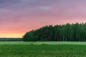 Sunset nature sky landscape sunrise sun sea dusk ocean beach. Countryside Nature Landscape At Sunset In Poland Free Picture For Blogs