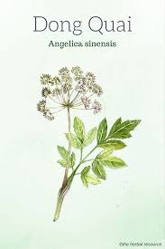 Some types of hair loss are permanent, like male and female pattern baldness. Pin On Herbalism