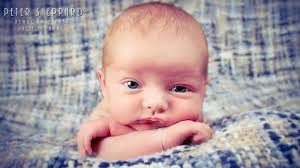 Peter Sheppard Photography