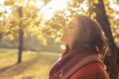 Image result