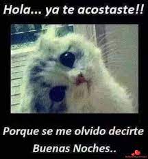 Cool Imagenes Buenas Noches Top Bellasimagenes Net Good Night Quotes Memes Inspirational Thoughts