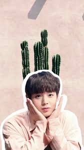 My twitter is @likeykth ( i n a c t i v e ). 96 Park Jihoon Wallpapers On Wallpapersafari