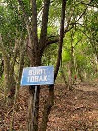 Bukit besar is situated north of kampung teluk dalam. Bukit Besar Trail Hike Kuala Terengganu Terengganu Malaysia Pacer