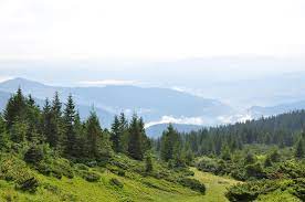 Learn more about ukraine in this article. Ukraine Landschaft Die Highlights