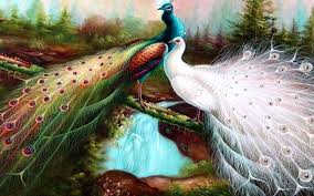 Beautiful birds wallpapers is a free app for android published in the recreation list of apps, part of home & hobby. Beautiful Birds Wallpaper Posted By Samantha Johnson