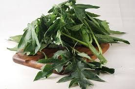 Gambar sayuran yang mudah ditiru. Cara Memasak Daun Pepaya Agar Tidak Pahit Pasti Mudah Ditiru Dengan Tips Berikut Ini Pemula Sekalipun Bisa Menirunya Deh Sayuran Pepaya Daun