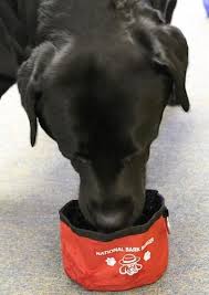 Pets are not allowed at the canadian national exhibition except for service dogs and the presidentís choice service super dogs. National Parks Going To The Dogs National Parks Traveler