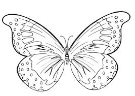 Cool Butterfly Coloring Pages Ideas For Girls And Boys Free Coloring Sheets Butterfly Coloring Page Butterfly Outline Butterfly Printable
