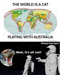 The Cat Earth Society Memes Really Funny Memes Funny Relatable Memes Stupid Funny Memes