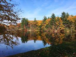 Huntington state park, is located in fairfield county, connecticut. Hiking With Dogs In Fairfield County Huntington State Park Tiny Kelsie