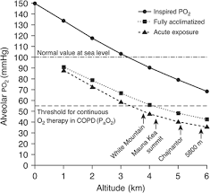 نتیجه جستجوی لغت [acclimatized] در گوگل