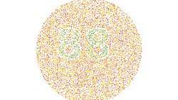 Tes Buta Warna Kamu Bisa Melihat Kata Tersembunyi Di Gambar Ini