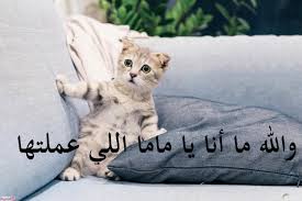 صور بنات فى اوضاع جماع مثيرة ، صور بنات. ØµÙˆØ± Ù…Ø¶Ø­ÙƒØ© Ø¬Ø¯Ø§ Ø§Ø¶Ø­Ùƒ Ù…Ø¹Ø§Ù†Ø§ Ù…Ù† Ù‚Ù„Ø¨Ùƒ Ø¨Ø§Ø¬Ù…Ø¯ Ø§Ù„ØµÙˆØ± ÙƒÙŠÙˆØª
