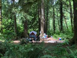 Be sure to call your local district firewood cutting is also permitted on other public and private forestlands. 14 Spots For Free Camping In Oregon And How To Find More Oregon Camping Camping Locations Oregon Forest