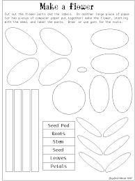 Pin By Erin Banks On Science Plants Parts Of A Flower Plant Science Kindergarten Fun