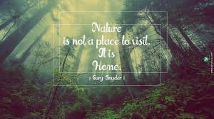 Here are 30 children and nature quotes that will inspire outdoor play. Bu1rbvsxpajwfm