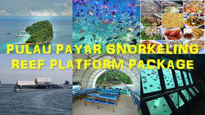 Also, a perfect place for snorkelling and diving. Pulau Payar Snorkeling Day Trip From Penang Penang Tour Com Penang Travel