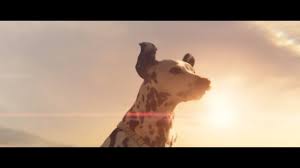 Budweiser Commercial Songs Tv Advert Music