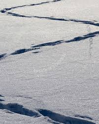 по полям по полям по полям по полям по полям Ubegat Nado Zigzagom No Po Snegu Osobo Ne Pobegaesh Progulka Po Polyam Zigzag Snow Snowdrift Tracks Zigzag Sneg Sugrob In 2020 Winter Road Winter Photos Photo