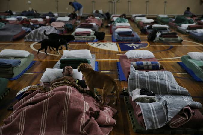 Brazilian city's homeless get incentive for going to shelter: beds for  their pets | Reuters